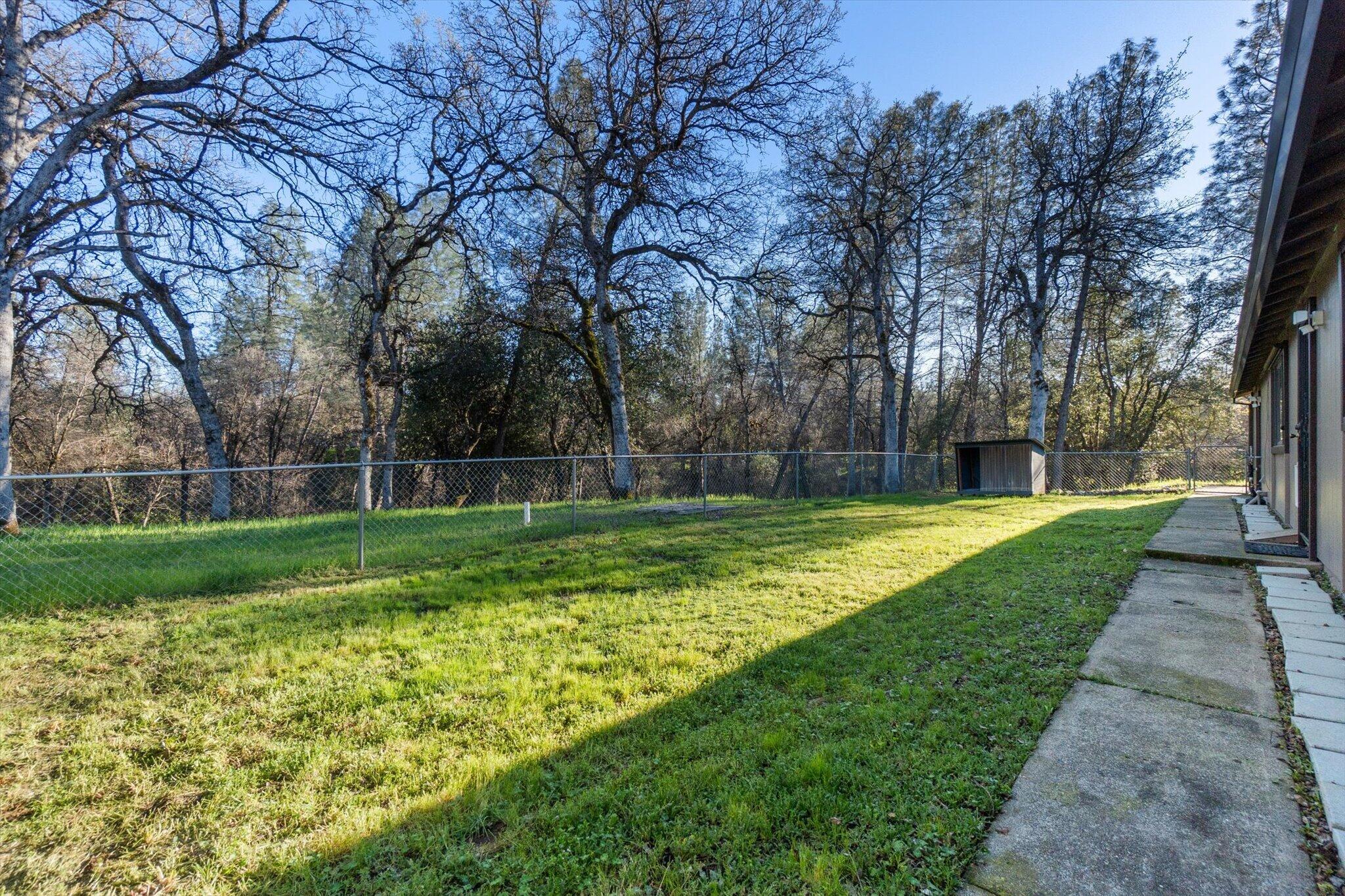 8003 Narrows Way Redding, CA 96001 - Photo 28 of 40 a view of a backyard with large trees