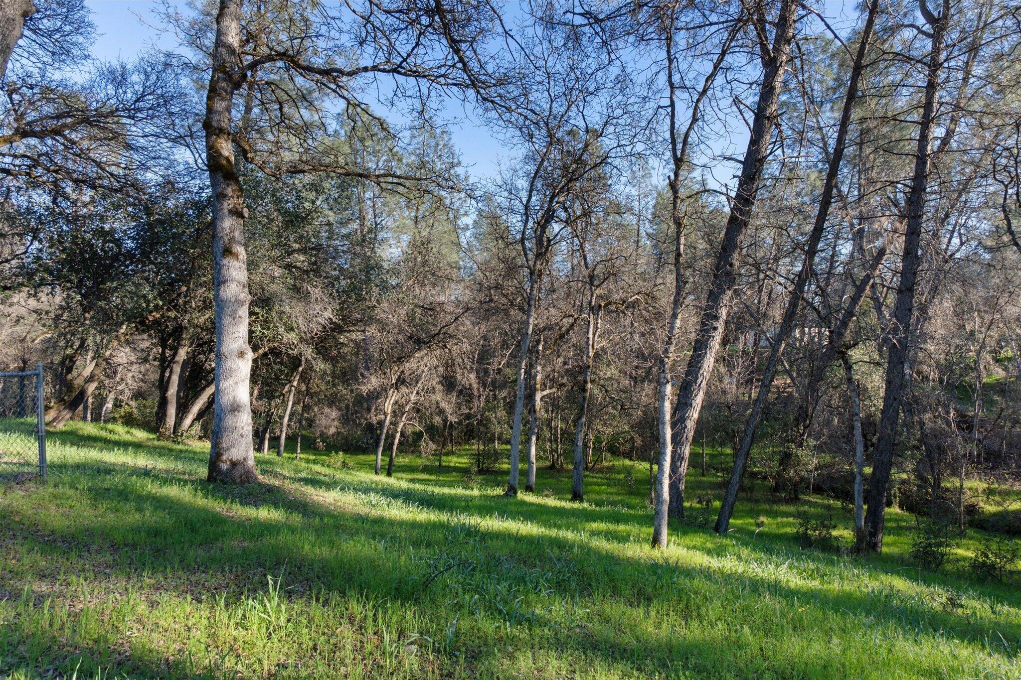 8003 Narrows Way Redding, CA 96001 - Photo 32 of 40 a view of a park with large trees