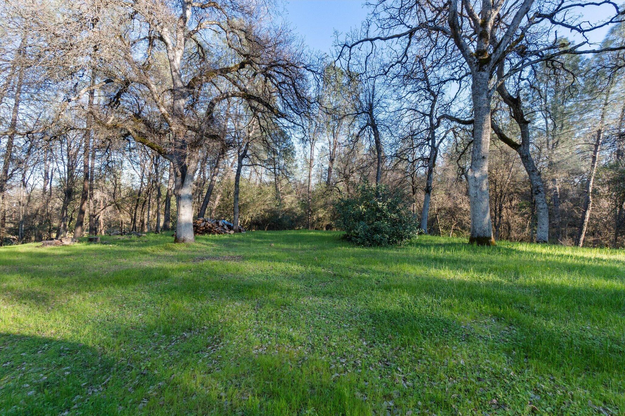 8003 Narrows Way Redding, CA 96001 - Photo 33 of 40 a garden view