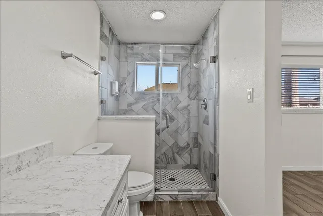 a bathroom with a granite countertop sink toilet and shower