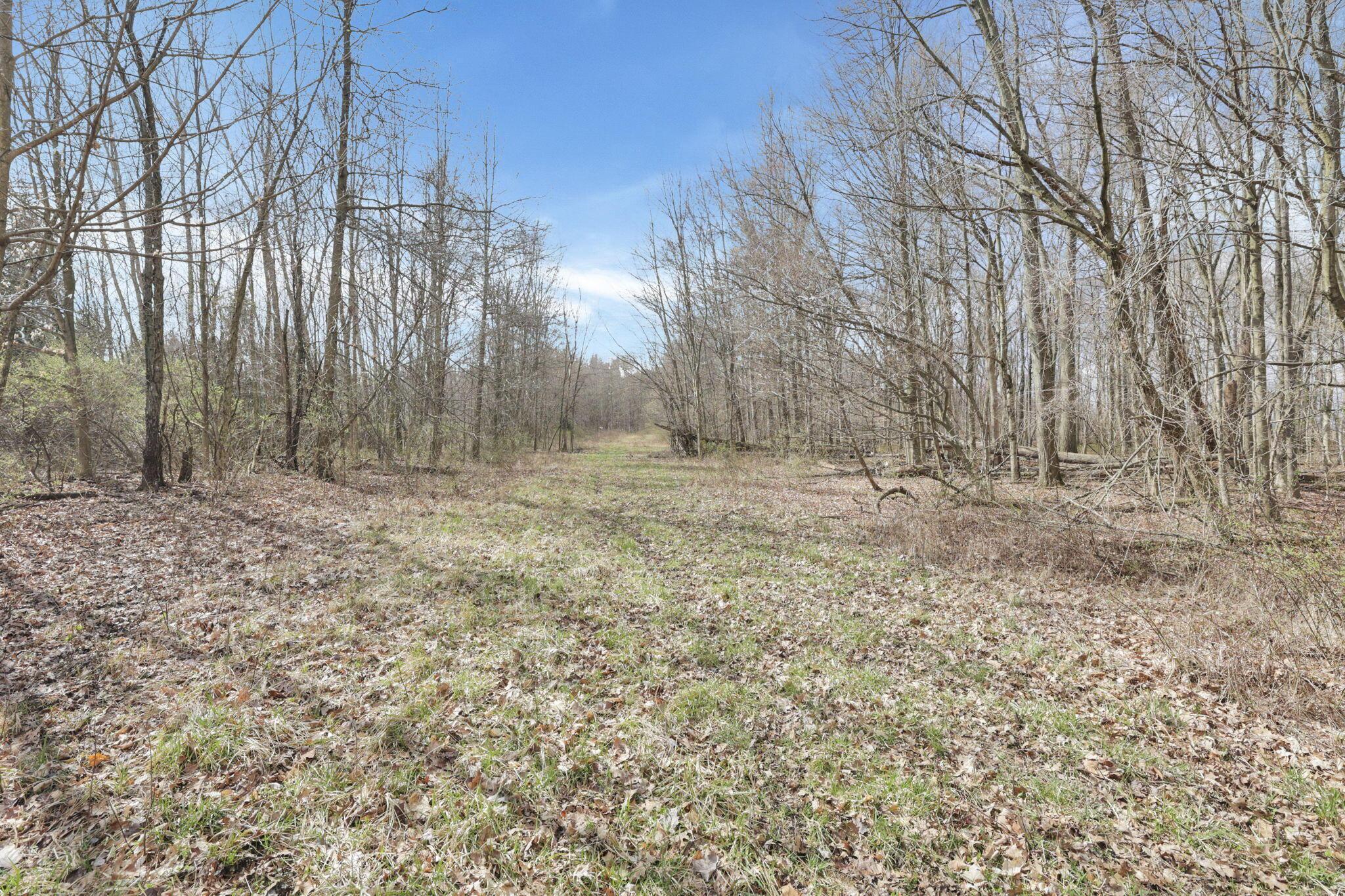 1133 Shearer Road Galion, OH 44833 - Photo 68 of 88 22