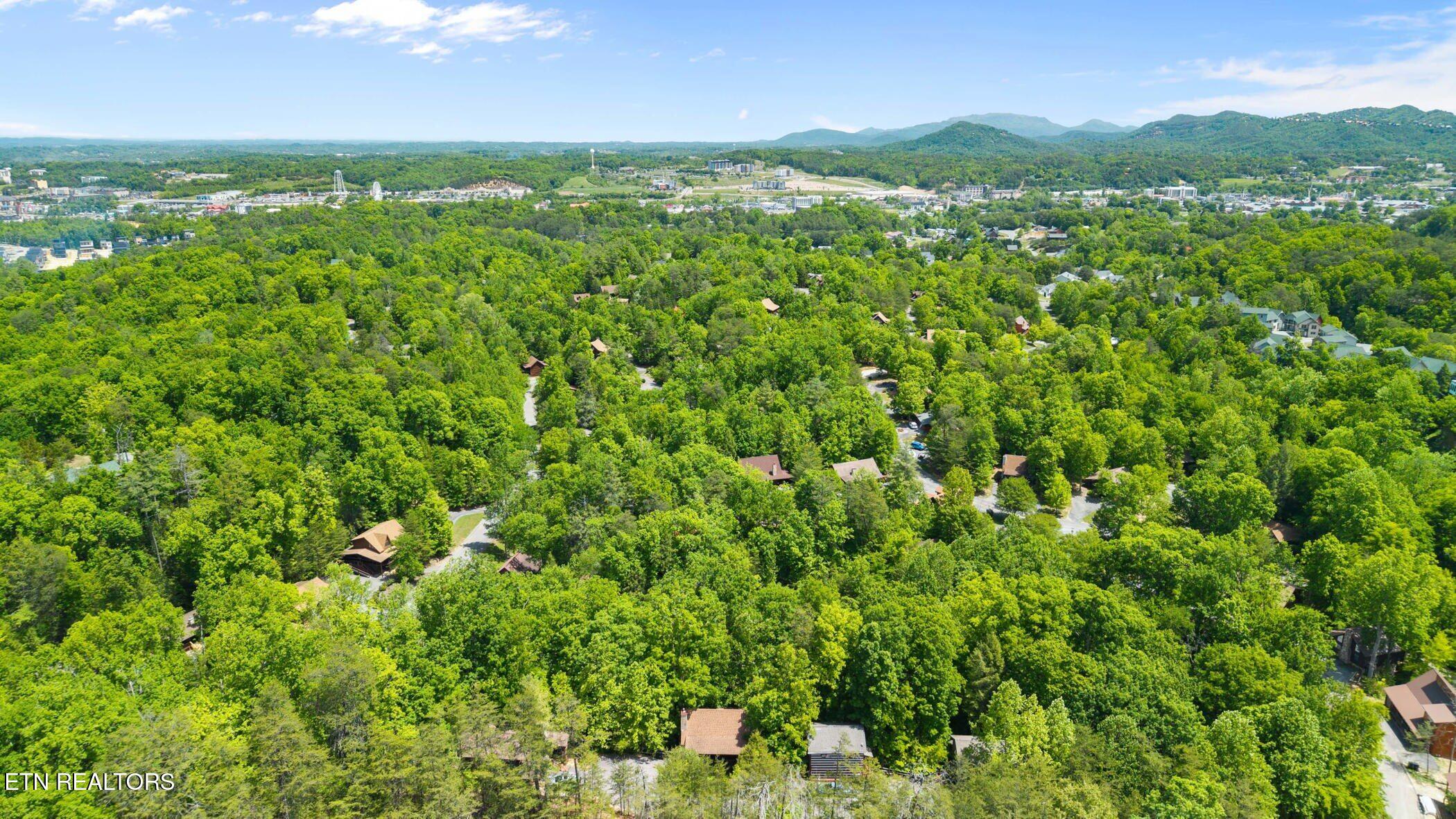 746 Nighthawk Way Pigeon Forge, TN 37863 - Photo 29 of 29 dji_20260501130753_0069_d