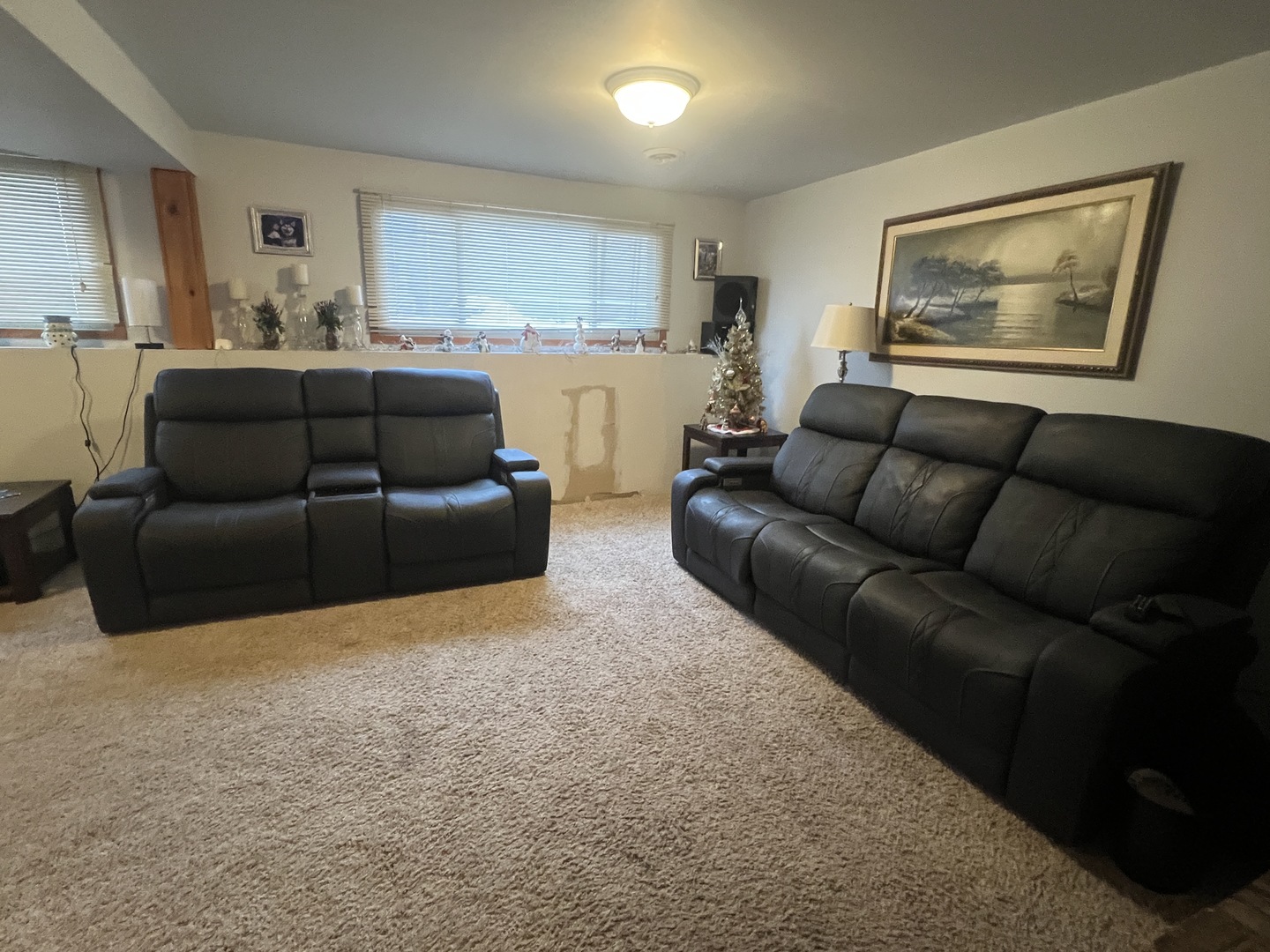 620 Willow Street Frankfort, IL 60423 - Photo 21 of 32 a living room with furniture and a large window