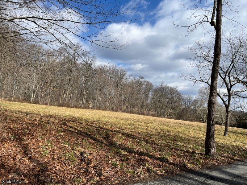 31 Sand Spring Lane Morristown, NJ 07960 - Photo 5 of 12