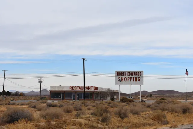 a view of a dry yard with trees