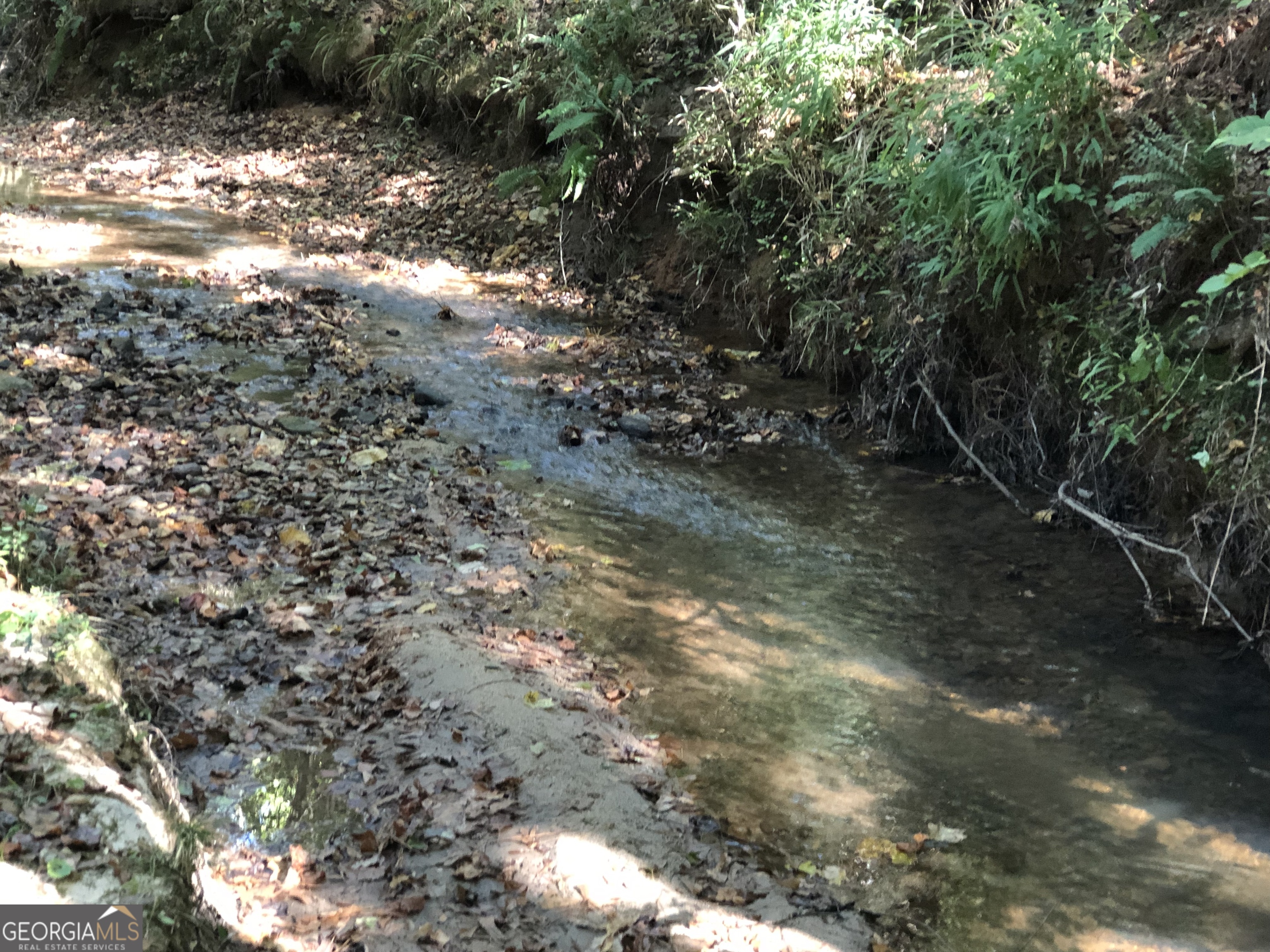 Lot 10 Triune Mill Road Thomaston, GA 30286 - Photo 29 of 30 A relaxing place for a creekside fire pit. and a hammock.