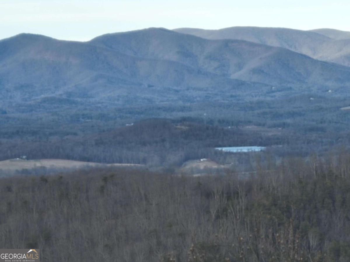 279 Andes Ridge Talking Rock, GA 30175 - Photo 21 of 37