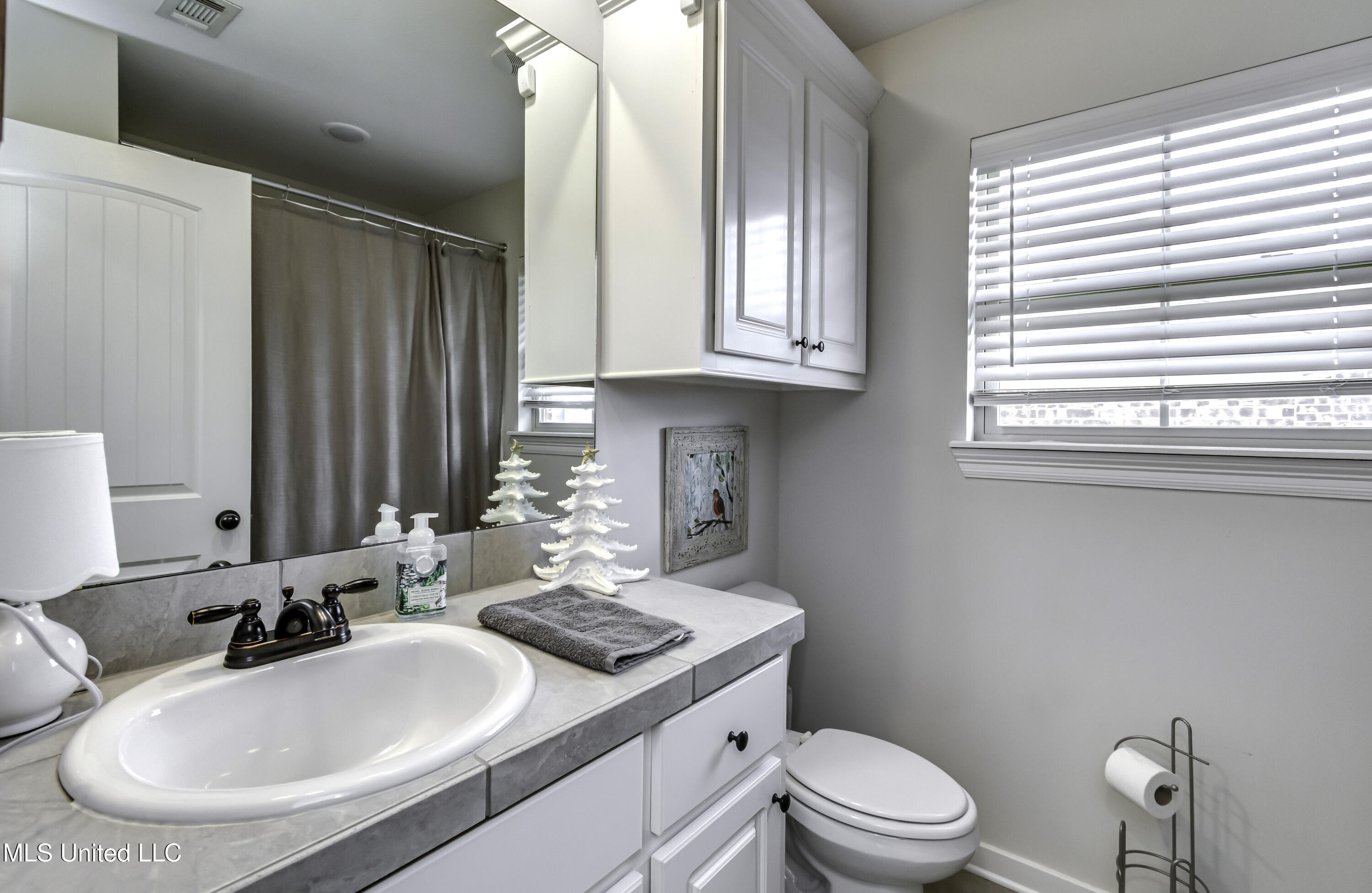 919 Filmore Dr. Brandon, MS 39042 - Photo 33 of 43 919 Filmore Dr--41