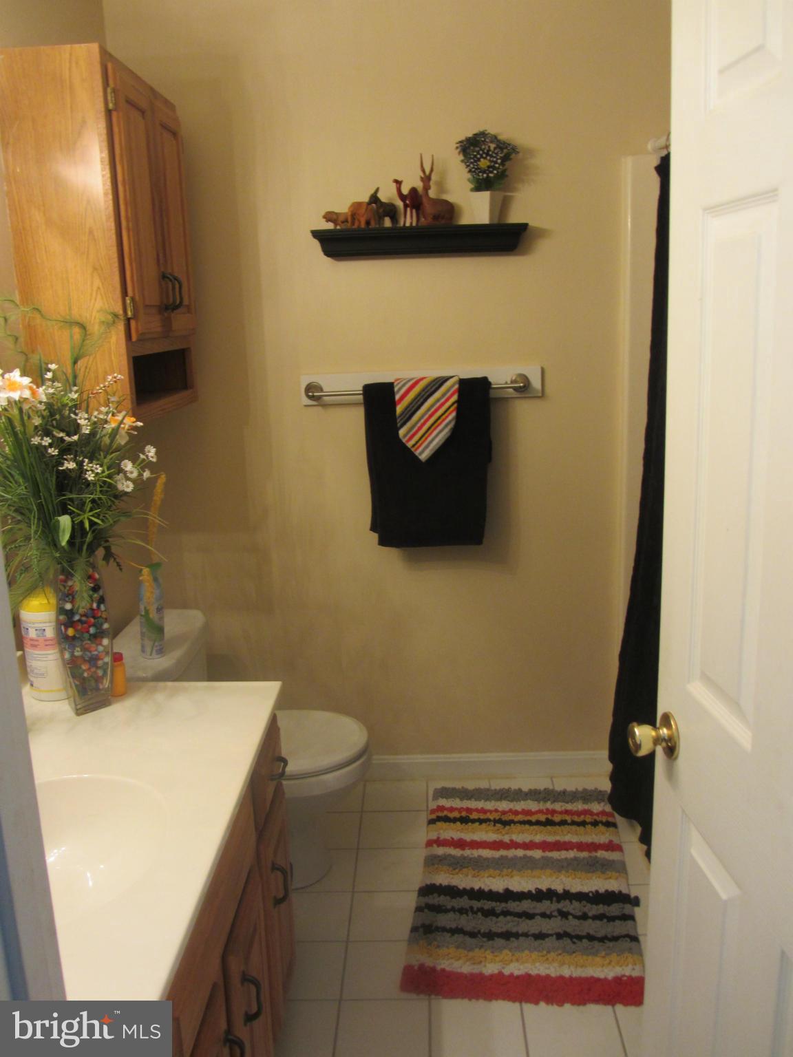 214 Burning Tree Road Lutherville-Timonium, MD 21093 - Photo 27 of 30 Bath