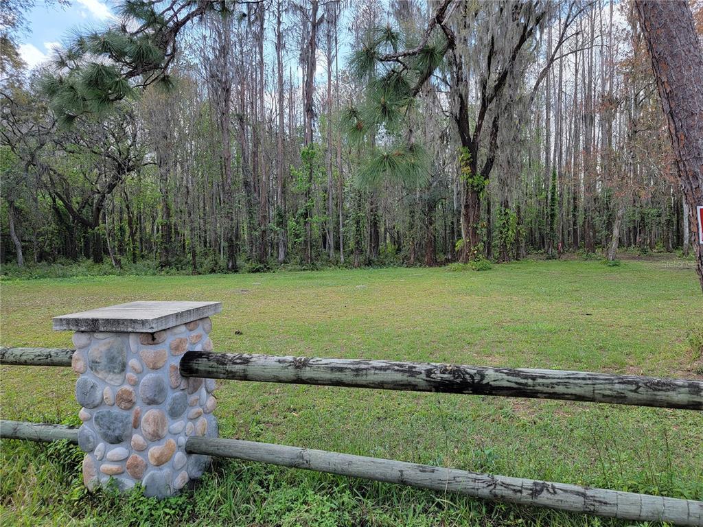 Tbd Bell Lake Road Land O Lakes, FL 34639 - Photo 4 of 7 Gallery Image 4