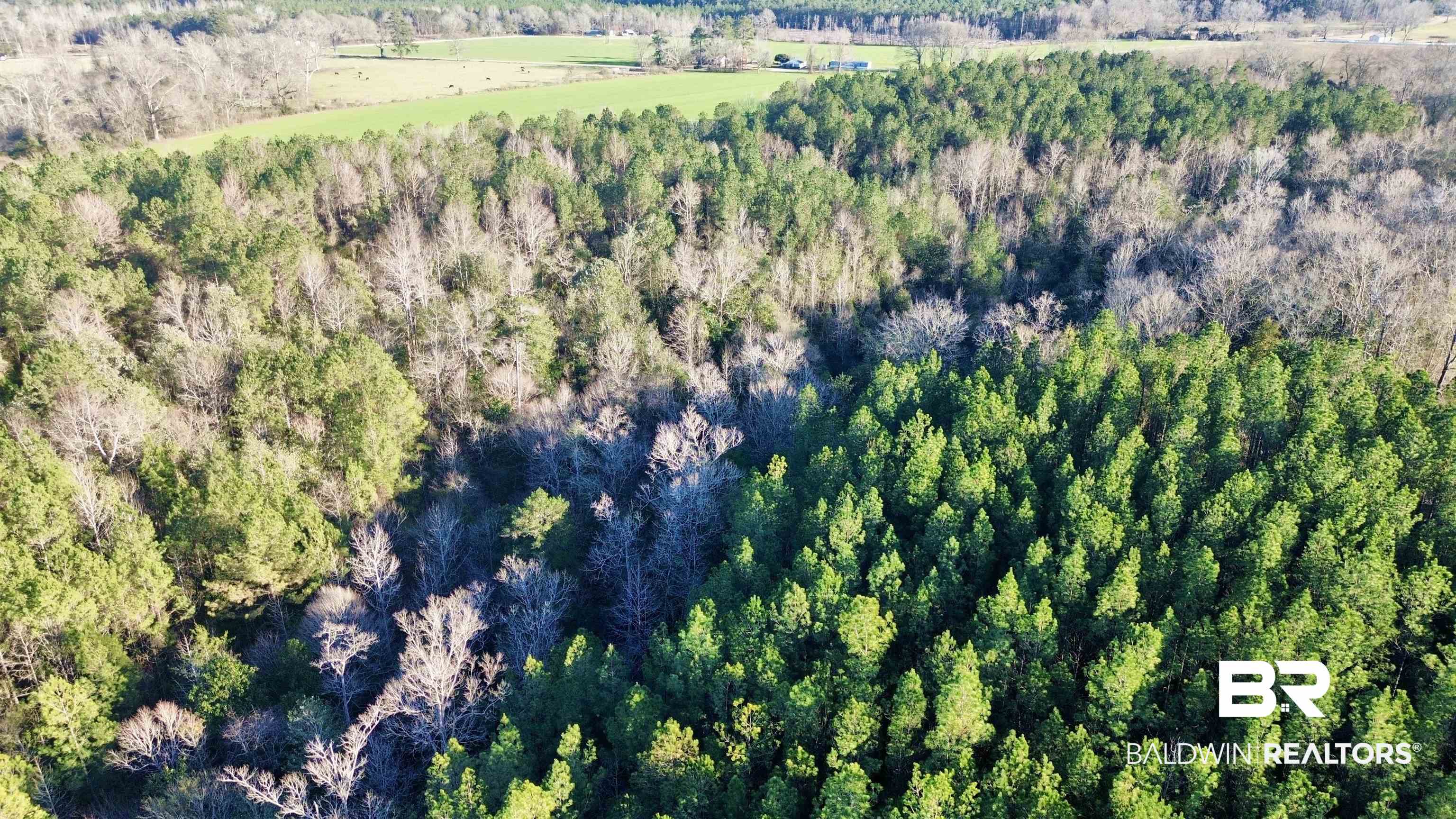 0 Ward Road Frisco City, AL 36445 - Photo 8 of 12 Bird's eye view with a wooded view