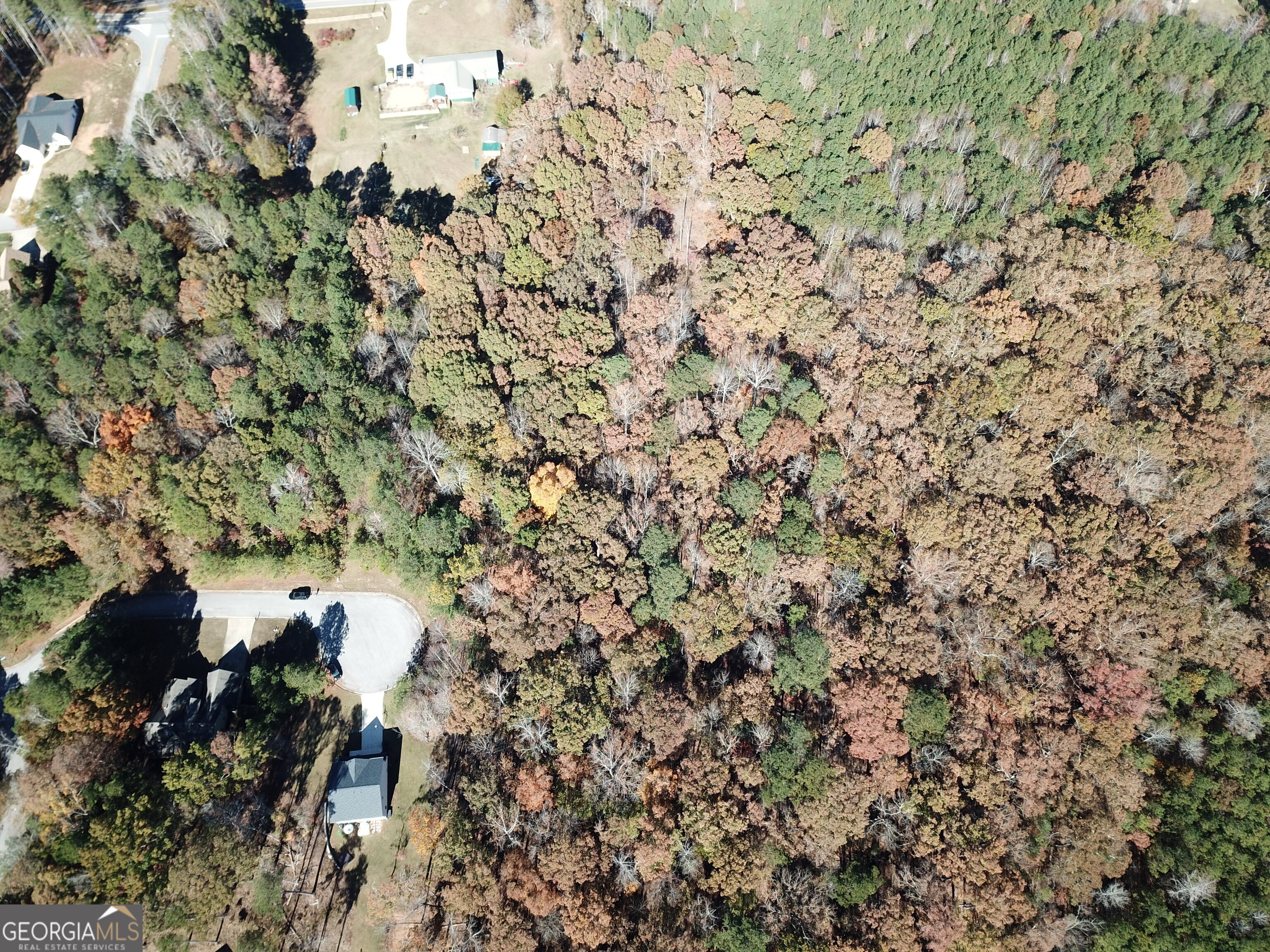 57 Santa Cruz Court Dallas, GA 30157 - Photo 11 of 12