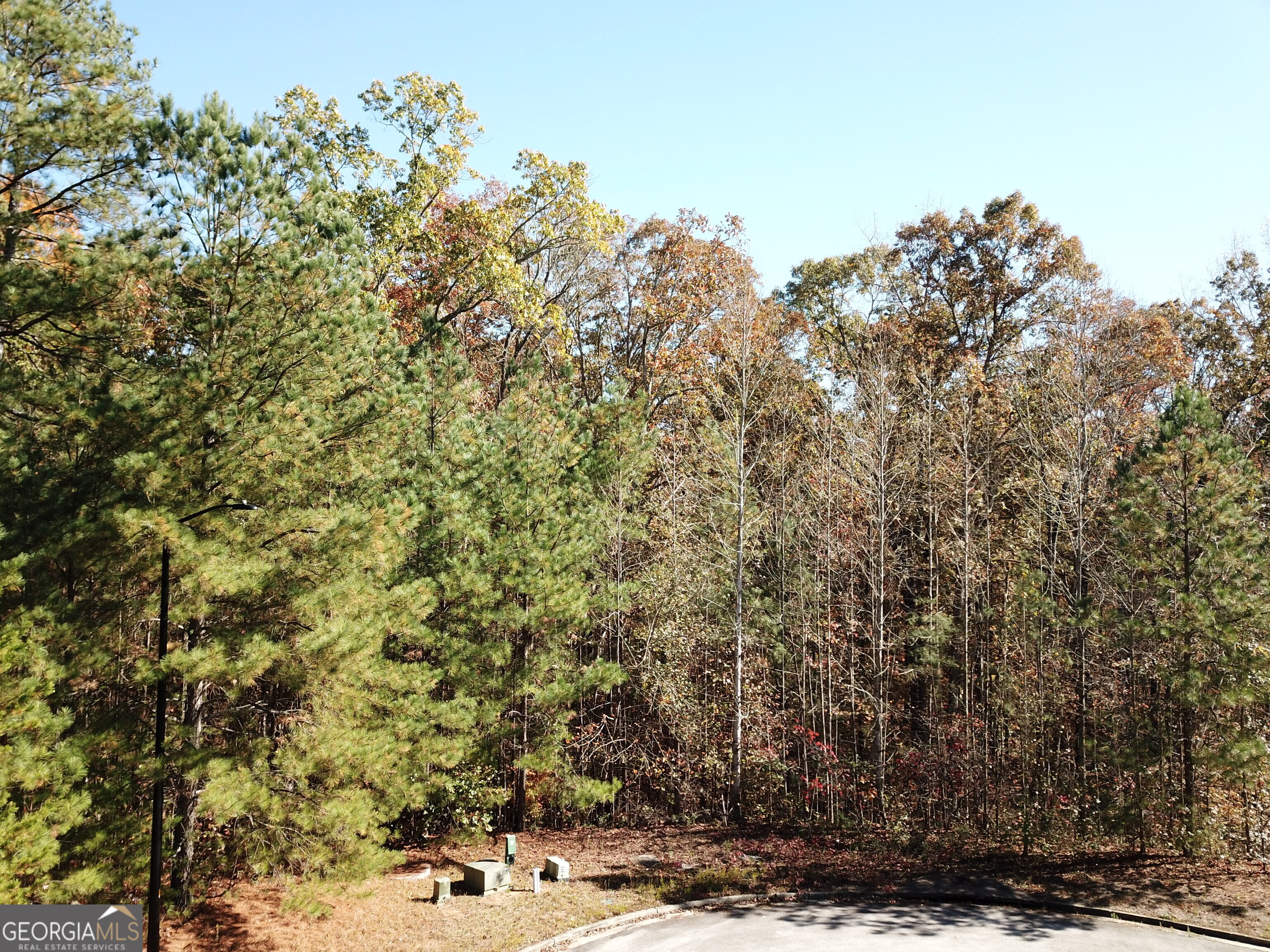 57 Santa Cruz Court Dallas, GA 30157 - Photo 2 of 12