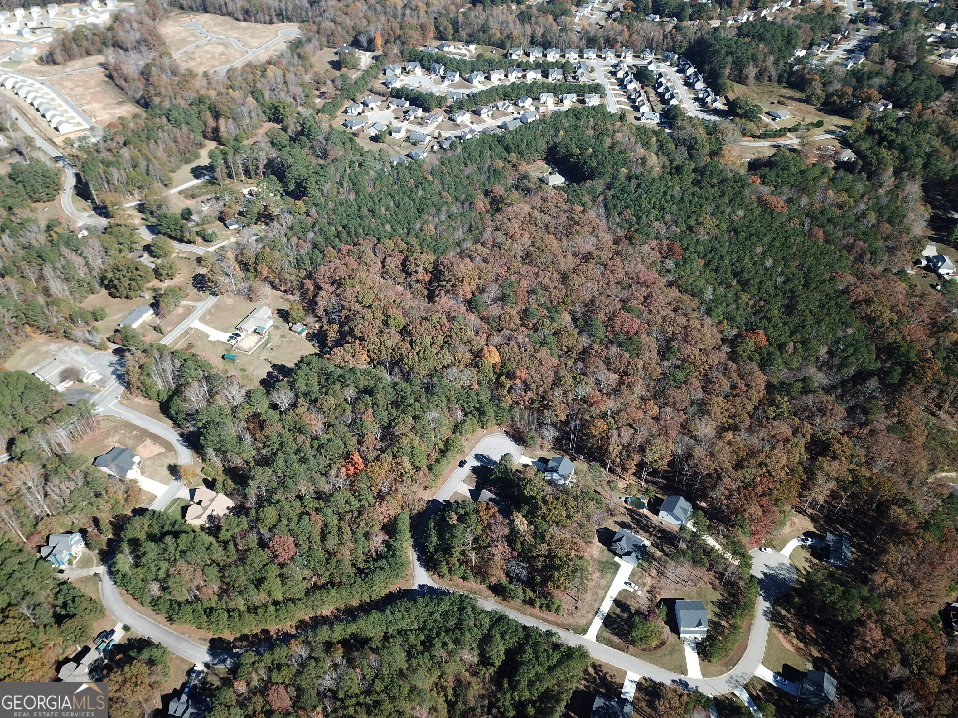 57 Santa Cruz Court Dallas, GA 30157 - Photo 6 of 12