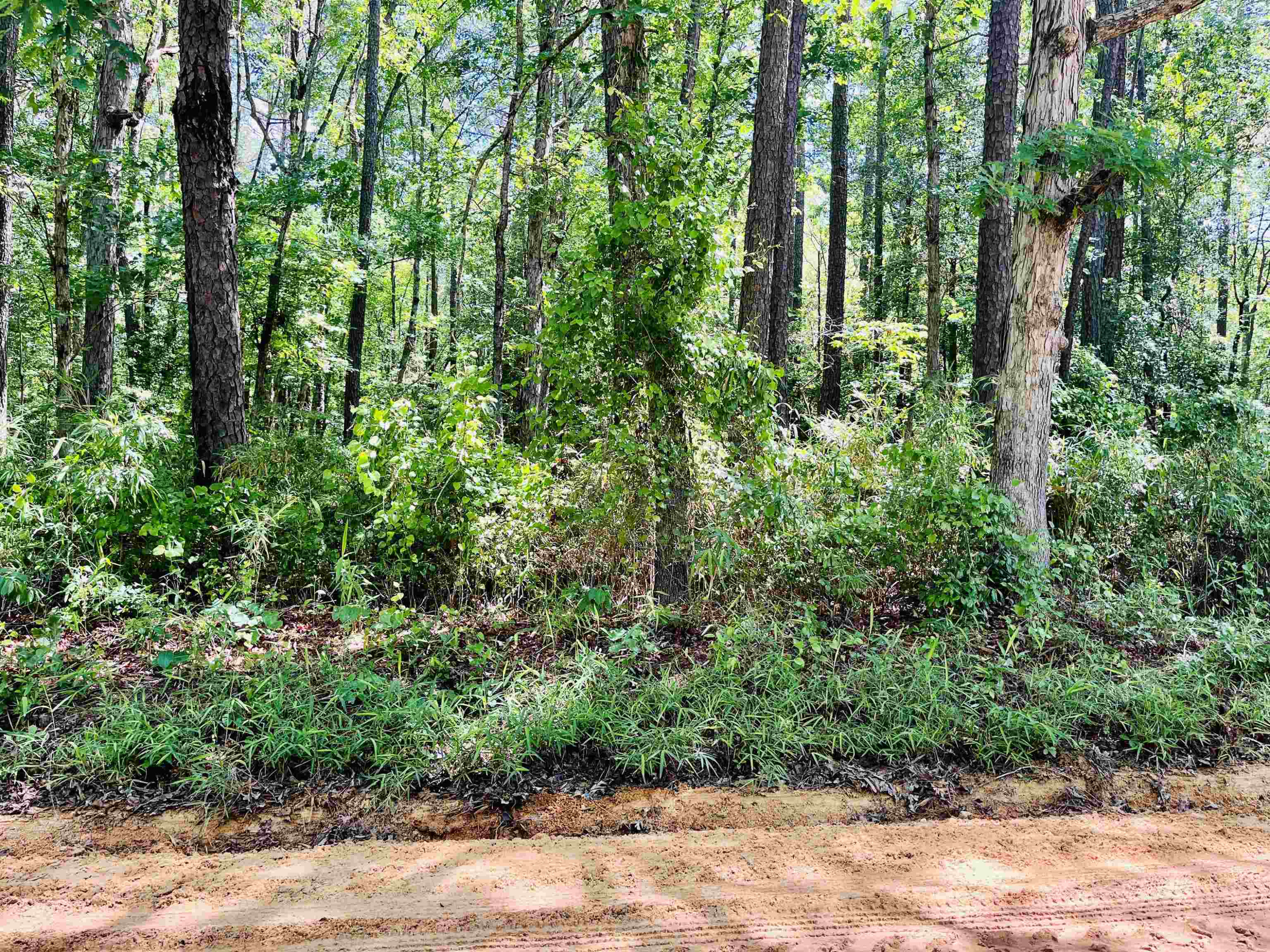 0 Sloan Road Broadway, NC 27505 - Photo 11 of 11 Photo 13