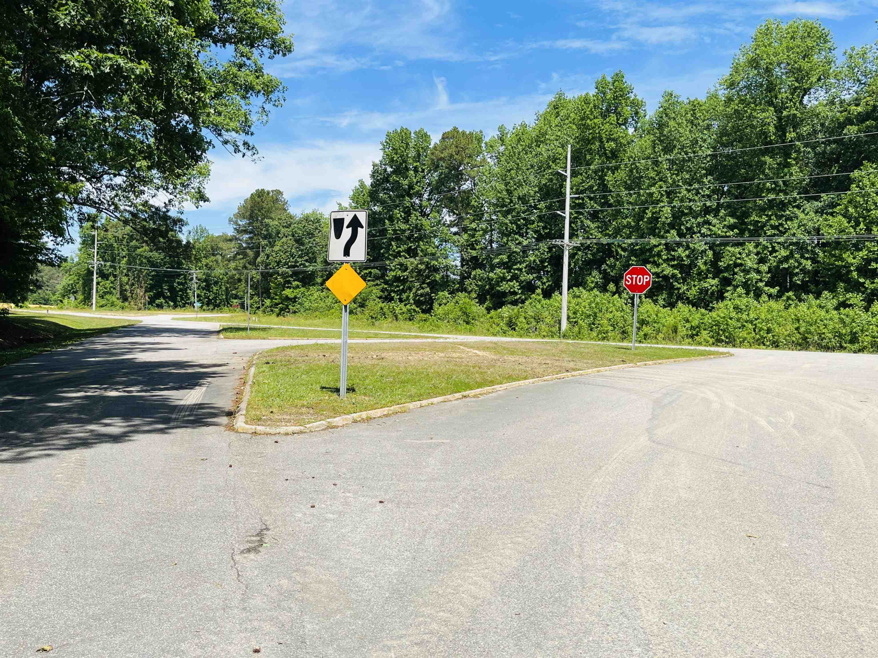 0 Sloan Road Broadway, NC 27505 - Photo 3 of 11 Photo 3