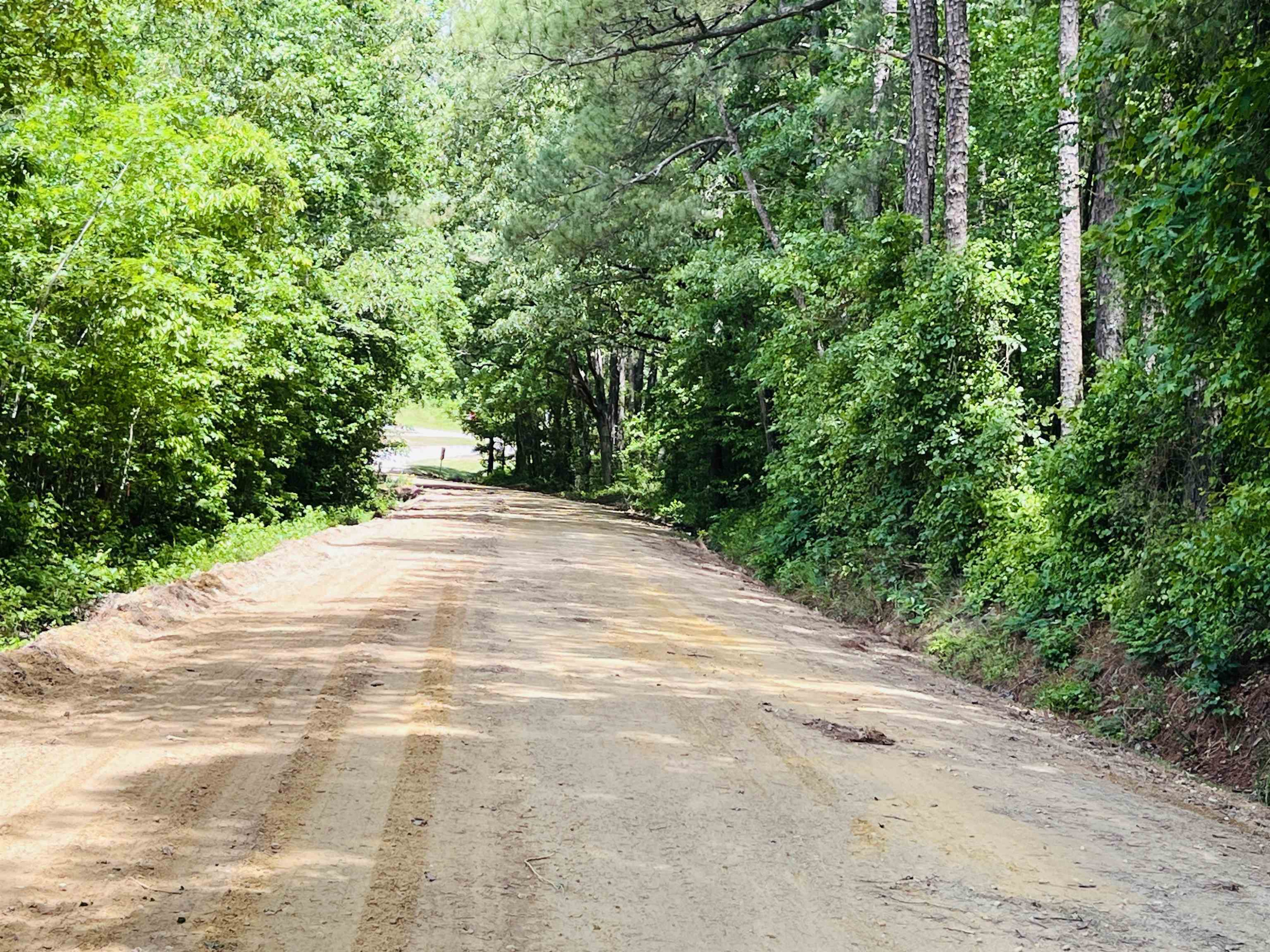 0 Sloan Road Broadway, NC 27505 - Photo 6 of 11 Photo 6