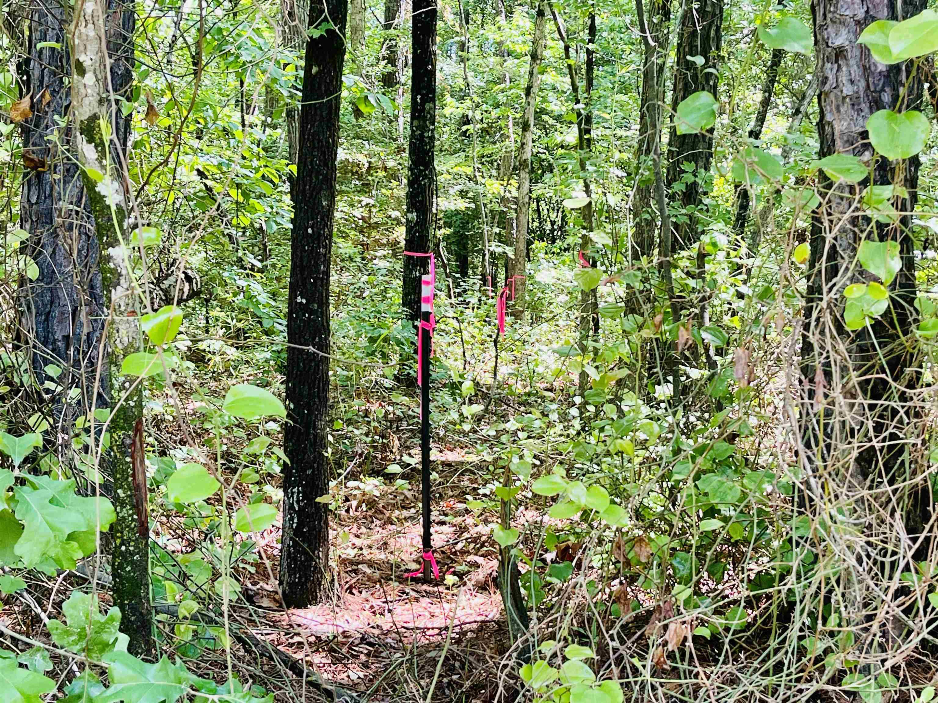 0 Sloan Road Broadway, NC 27505 - Photo 9 of 11 Photo 10