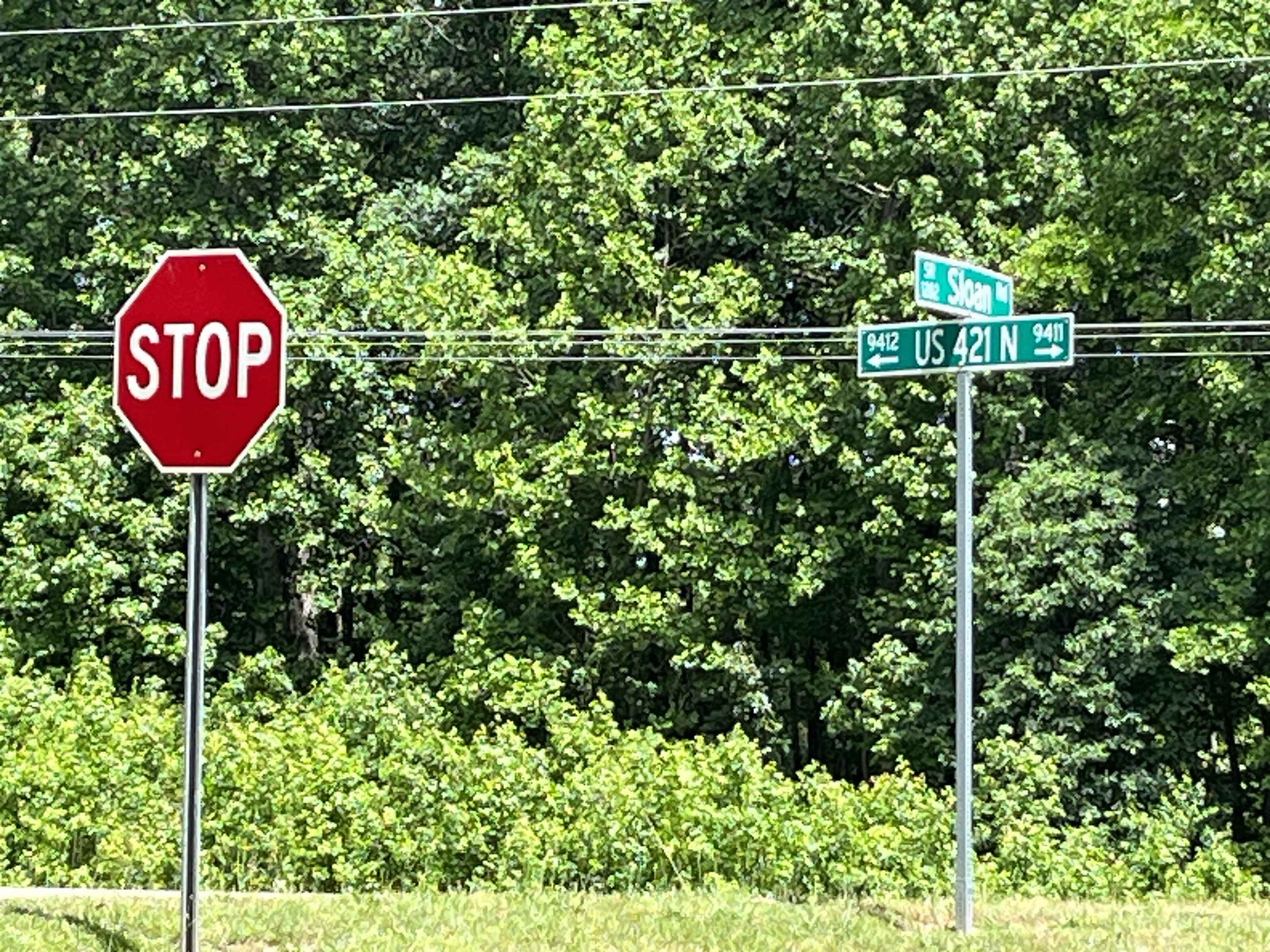 0 Sloan Road Broadway, NC 27505 - Photo 10 of 11 Photo 11