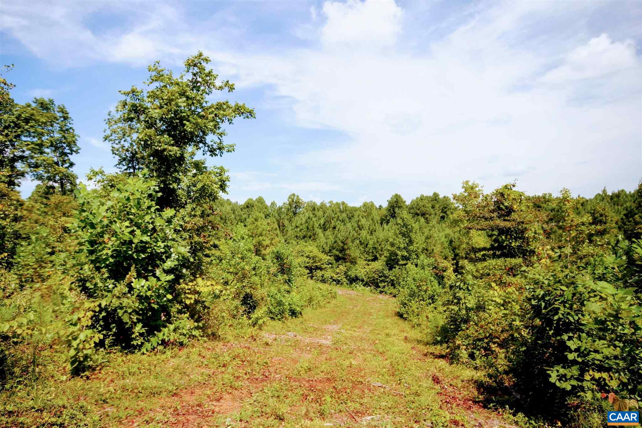 Tba Red Road Dillwyn, VA 23936 - Photo 19 of 51 Gallery Image 19