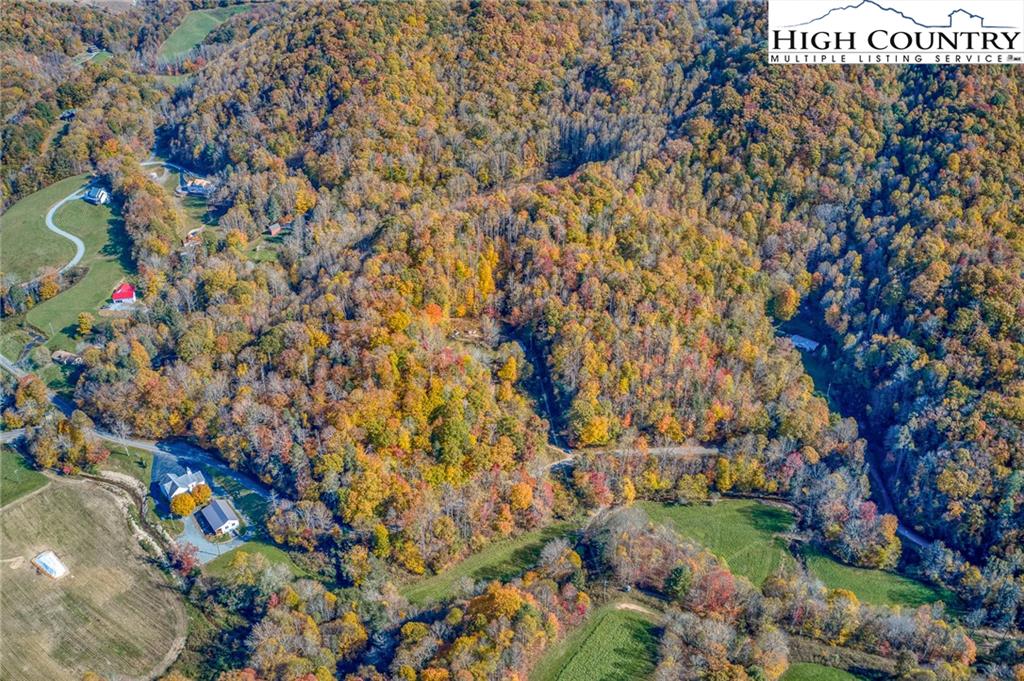 2518 Beaver Dam Road Vilas, NC 28692 - Photo 12 of 18 Gallery Image 12