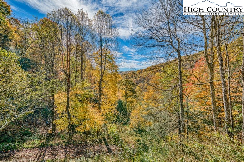 2518 Beaver Dam Road Vilas, NC 28692 - Photo 15 of 18 Gallery Image 15