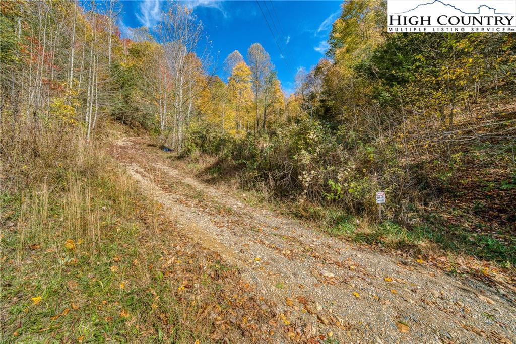 2518 Beaver Dam Road Vilas, NC 28692 - Photo 10 of 18 Gallery Image 10