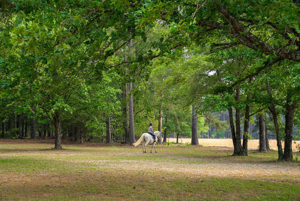 793 Flowing Well Road Wagener, SC 29164 - Photo 52 of 61