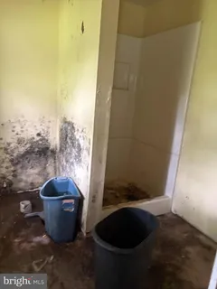 a bathroom with a sink and a shower