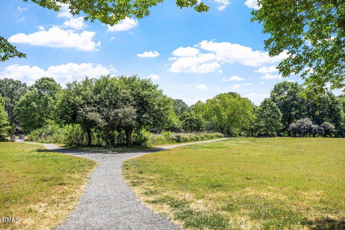 5508 Rutherford Cl Pittsboro, NC 27312 - Photo 54 of 56 45-Fearrington Village NA 20