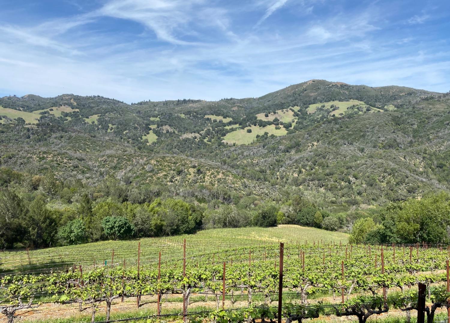 0 Wall Road Napa, CA 94558 - Photo 1 of 1 Gallery Image 1