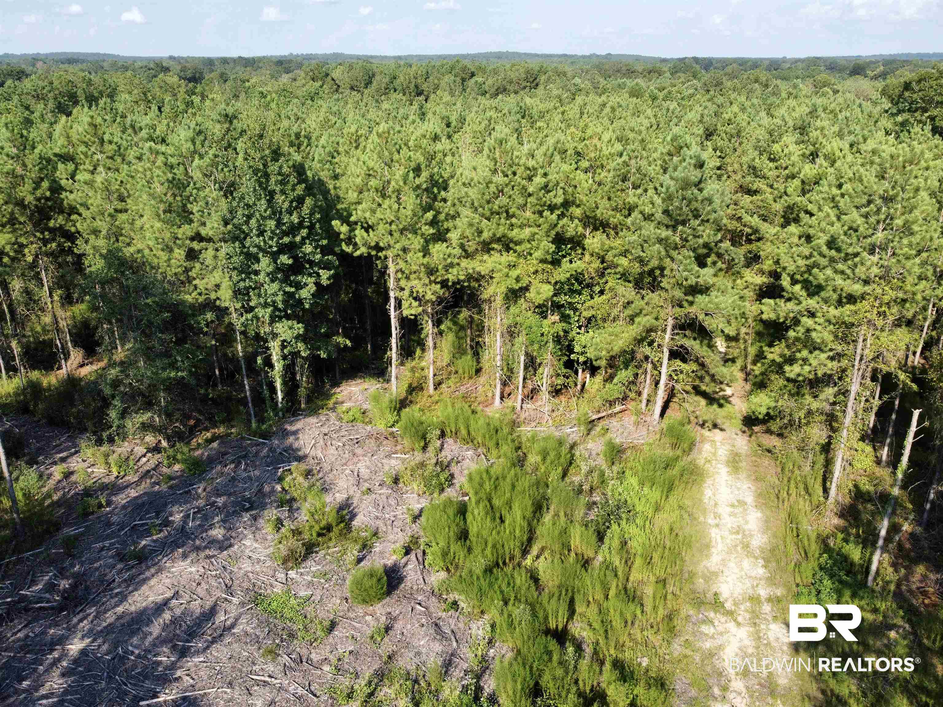 0 County Road 11 Repton, AL 36475 - Photo 25 of 34