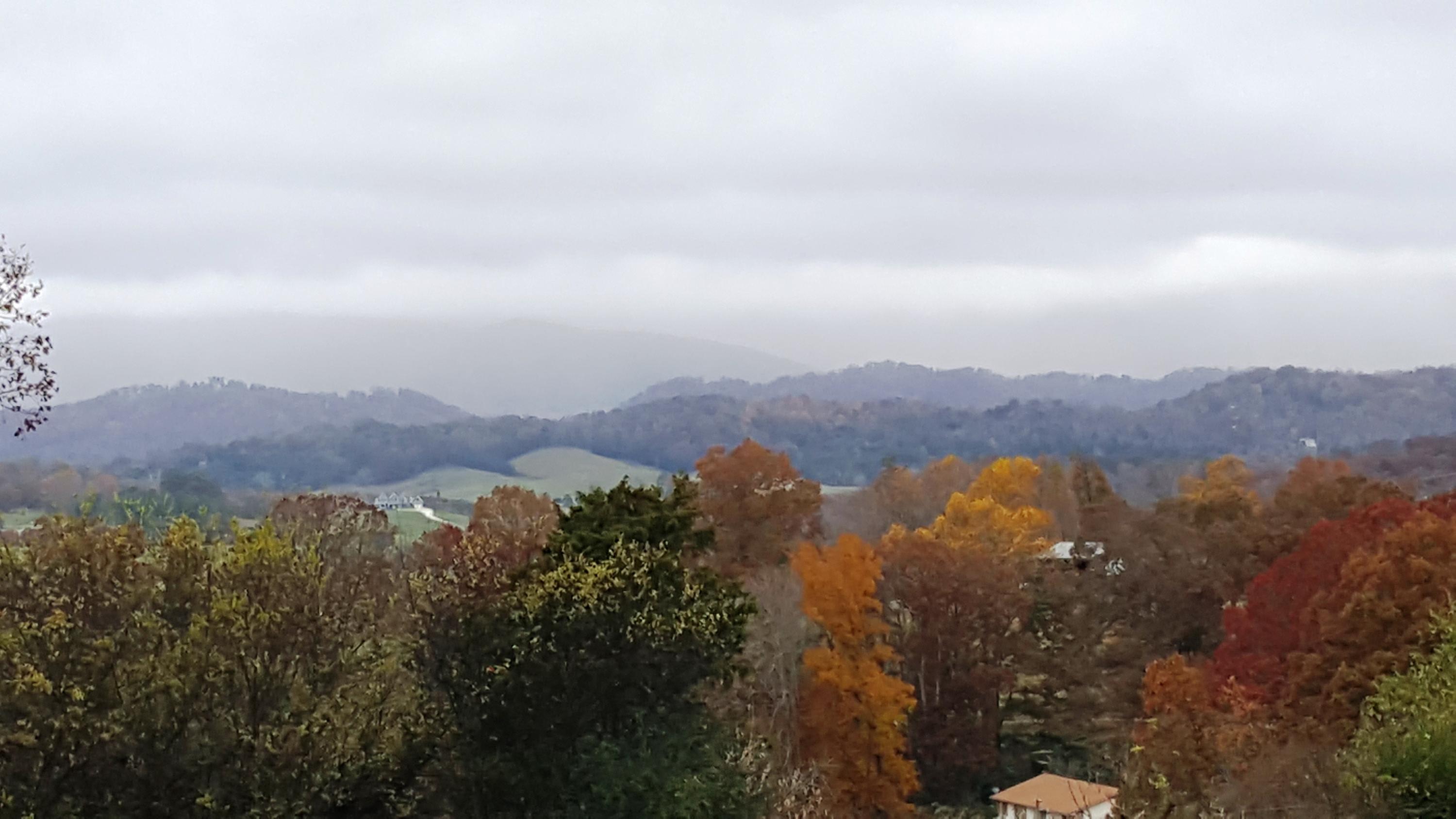 Lot 25 Indian Ridge Road Blaine, TN 37709 - Photo 1 of 8 scenic overview