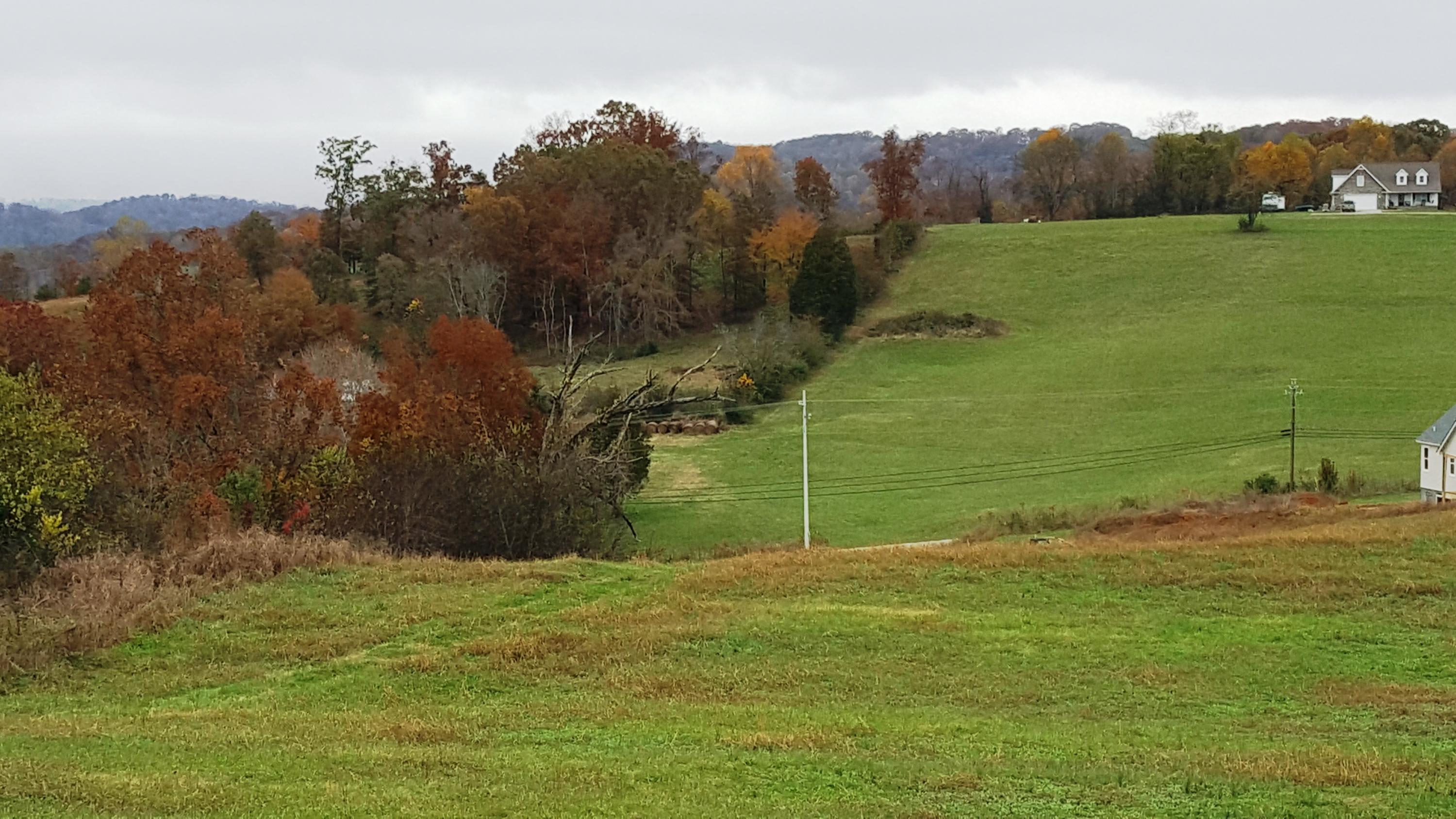 Lot 25 Indian Ridge Road Blaine, TN 37709 - Photo 3 of 8 gorgeous land surrounding property