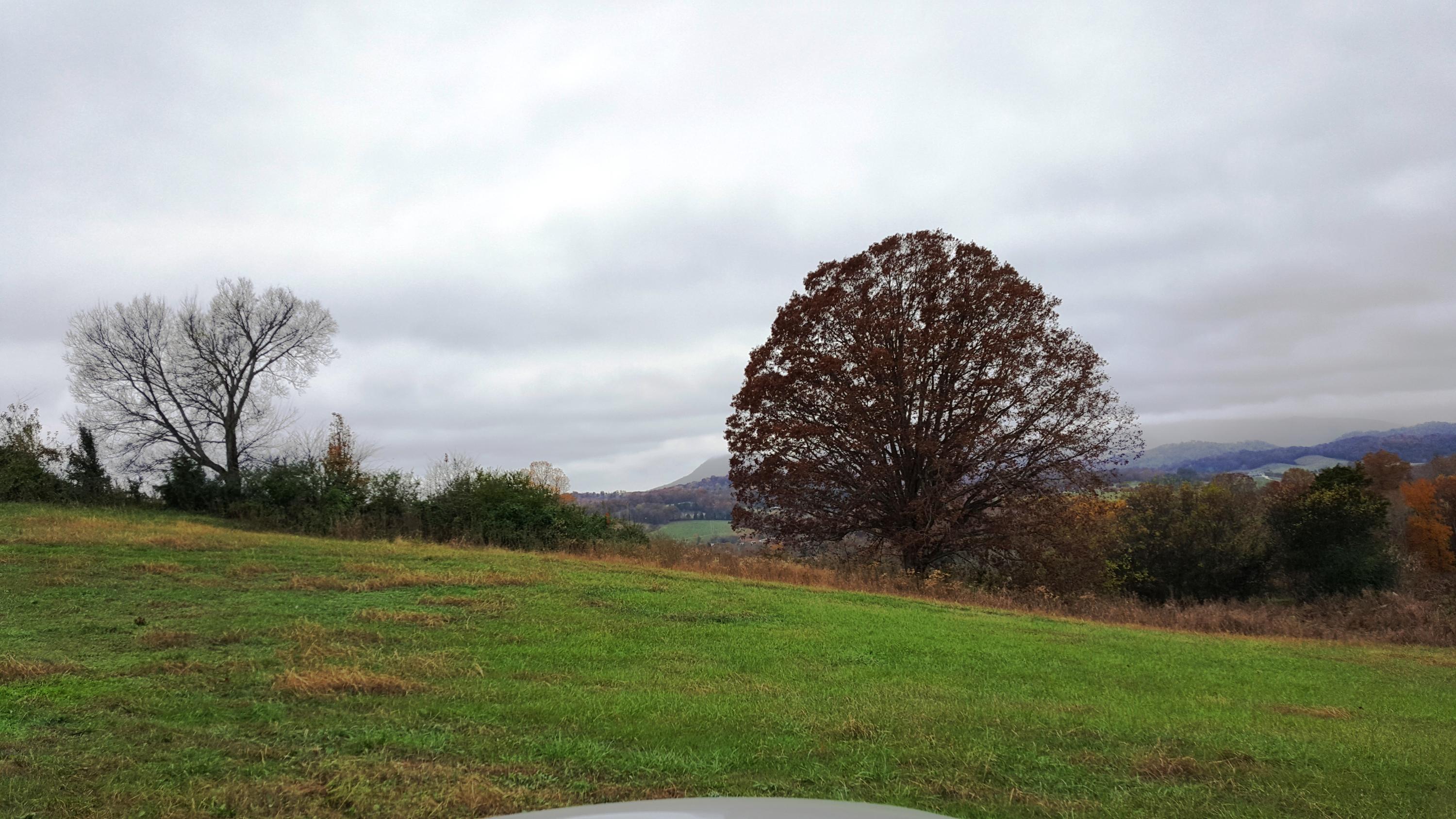 Lot 25 Indian Ridge Road Blaine, TN 37709 - Photo 4 of 8 ground 2