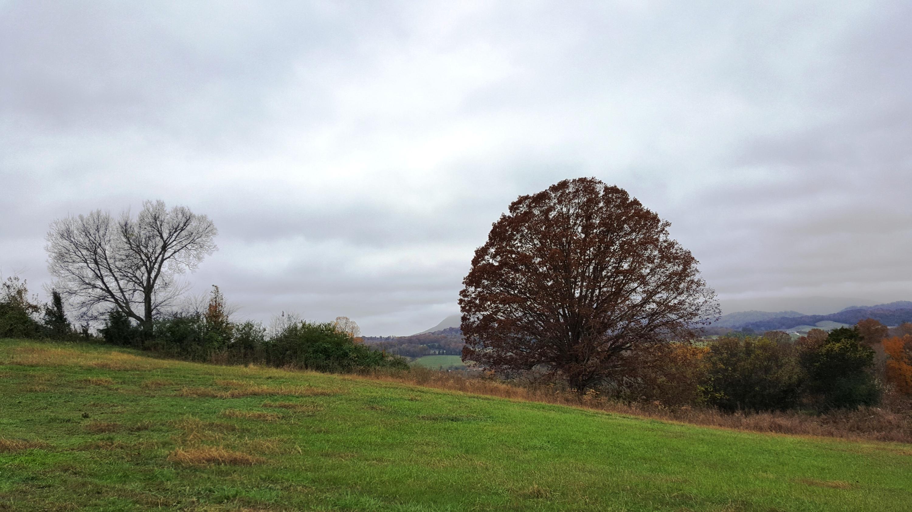 Lot 25 Indian Ridge Road Blaine, TN 37709 - Photo 6 of 8 Mountain View 2