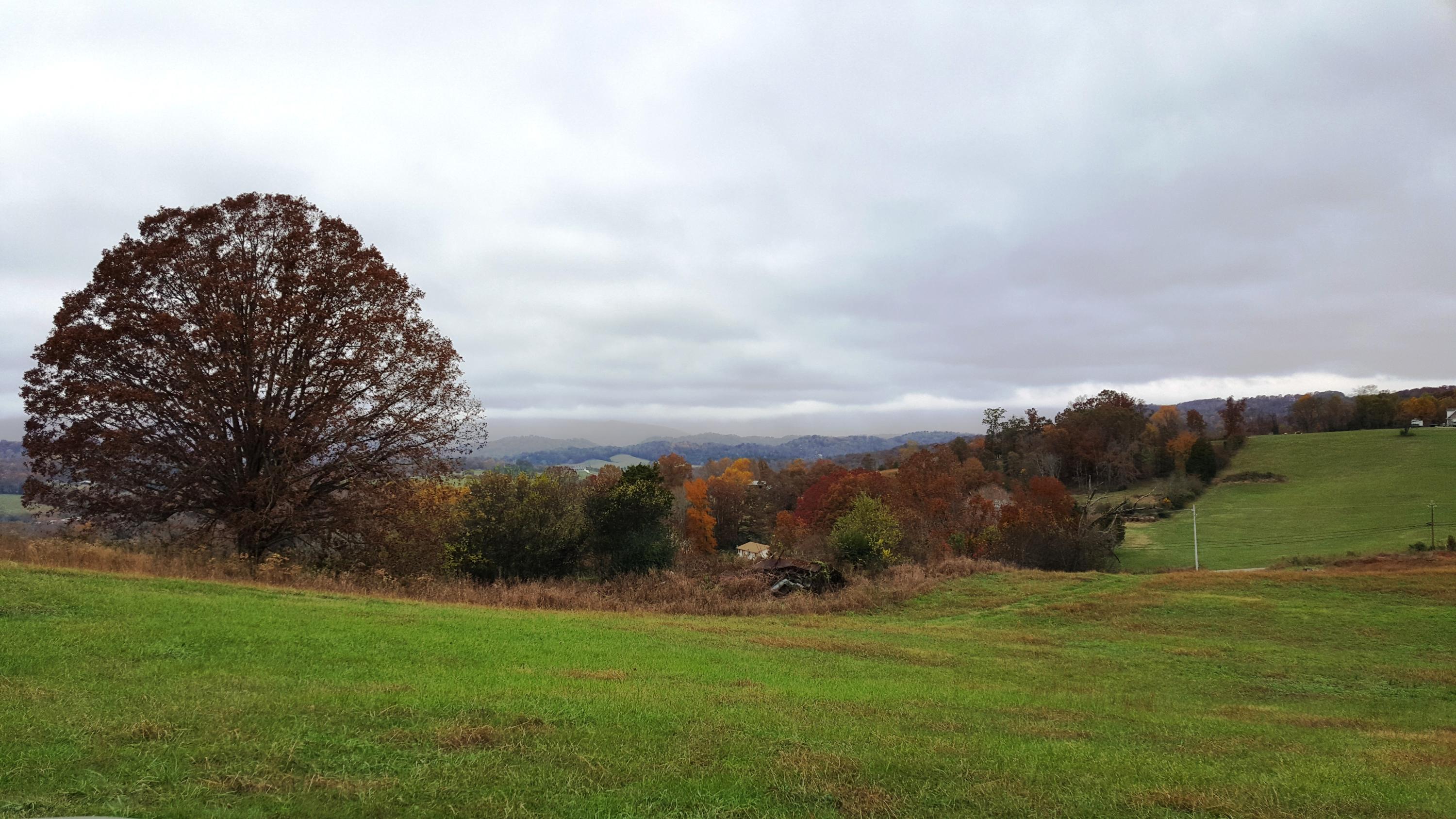 Lot 25 Indian Ridge Road Blaine, TN 37709 - Photo 7 of 8 Mountain View