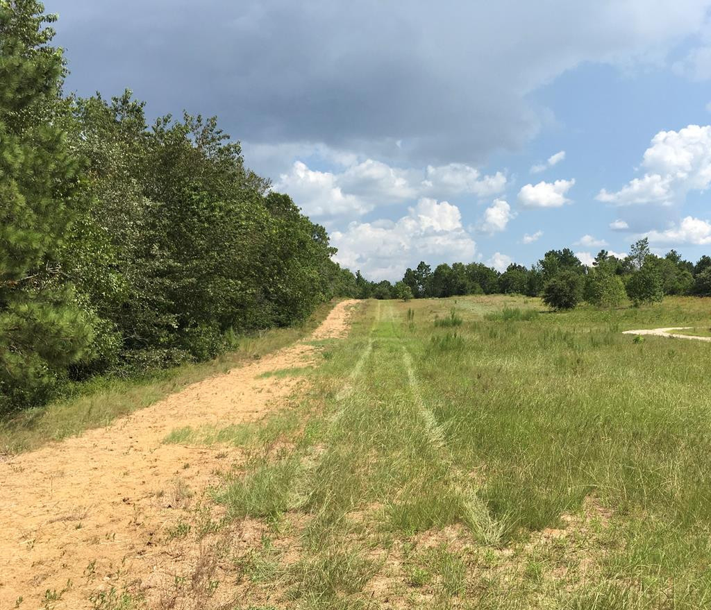 405 Cadle Crossing Road Windsor, SC 29856 - Photo 8 of 43
