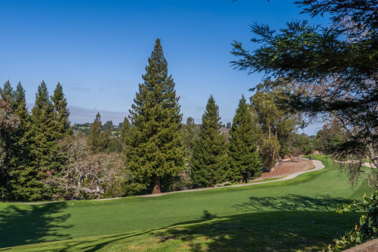 420 Sand Hill Circle Menlo Park, CA 94025 - Photo 27 of 29 a view of a golf course with a lake