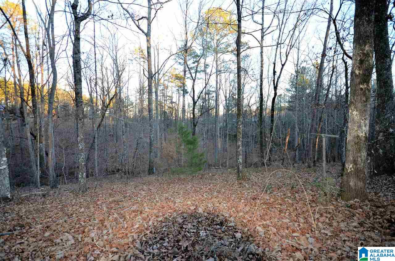 930 Ridge Trail Warrior, AL 35180 - Photo 33 of 34