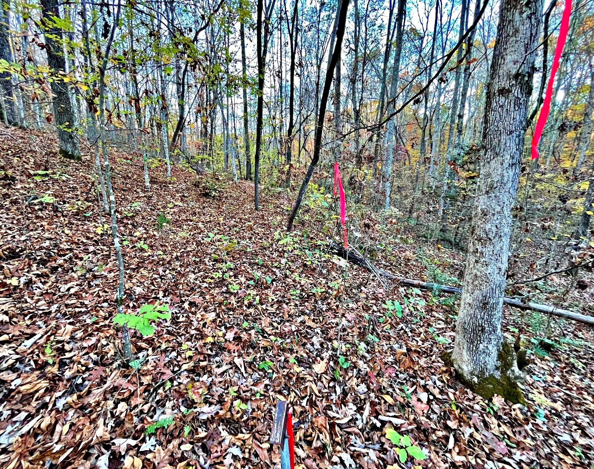 5 Oak Grove Road Decatur, TN 37322 - Photo 22 of 30 Gallery Image 22