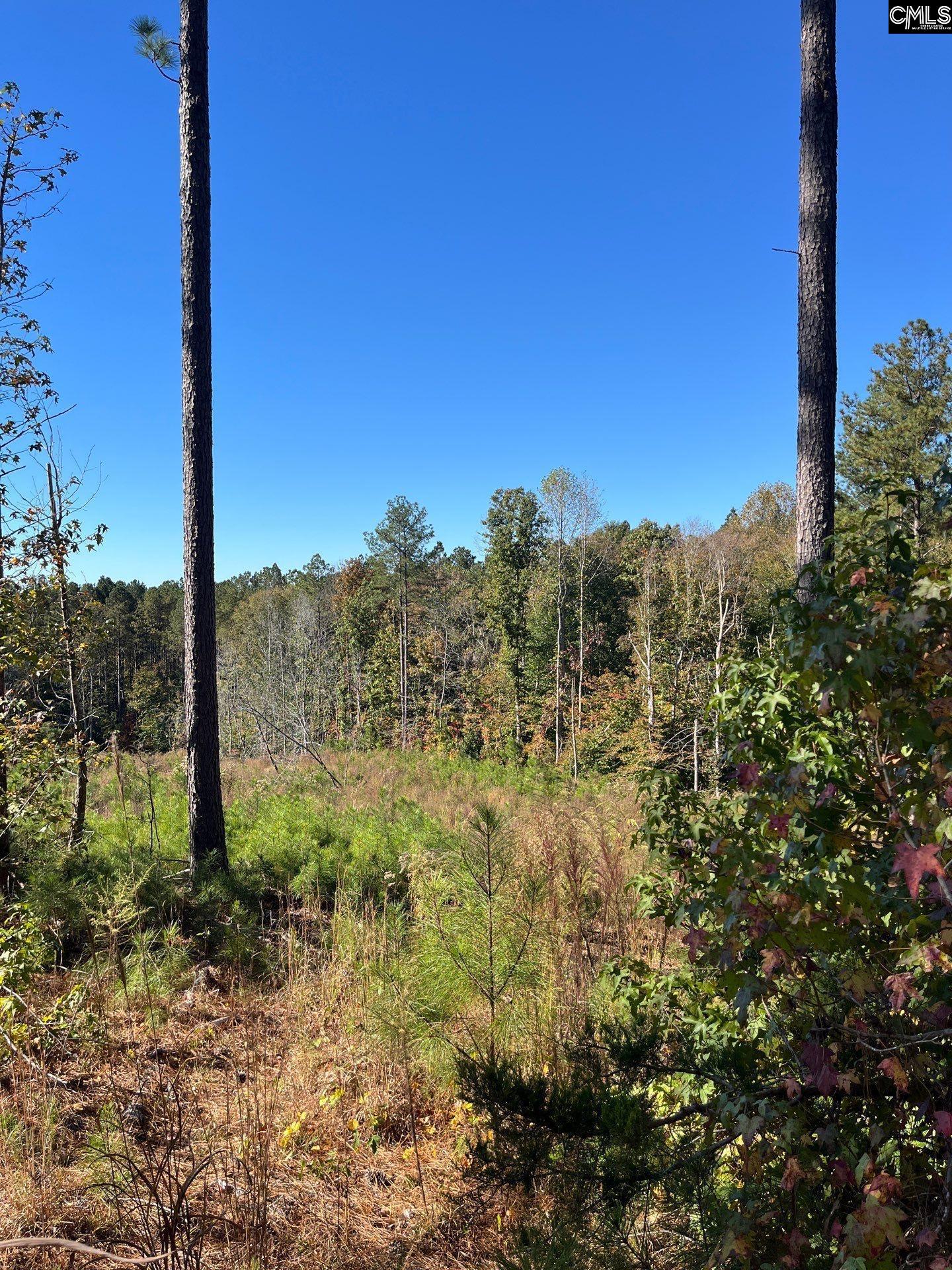 3 Dawkins Road, Unit DRF 3 Whitmire, SC 29178 - Photo 8 of 38