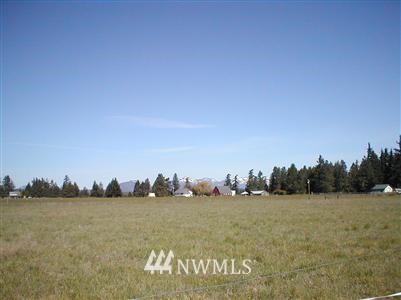 -xxx Pease Road Cle Elum, WA 98922 - Photo 1 of 1 Gallery Image 1