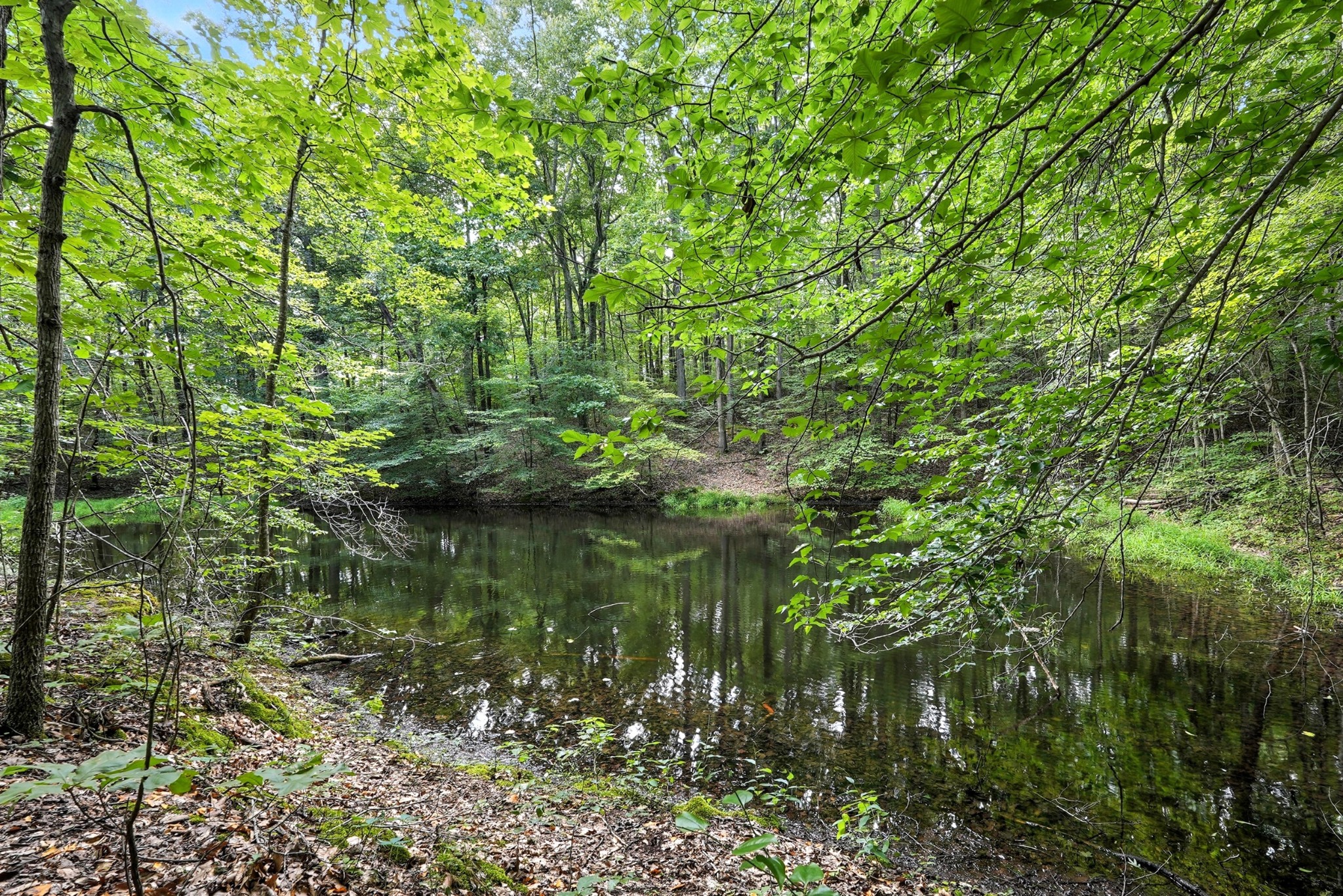 0 West Hollow Road Goodspring, TN 38460 - Photo 7 of 99