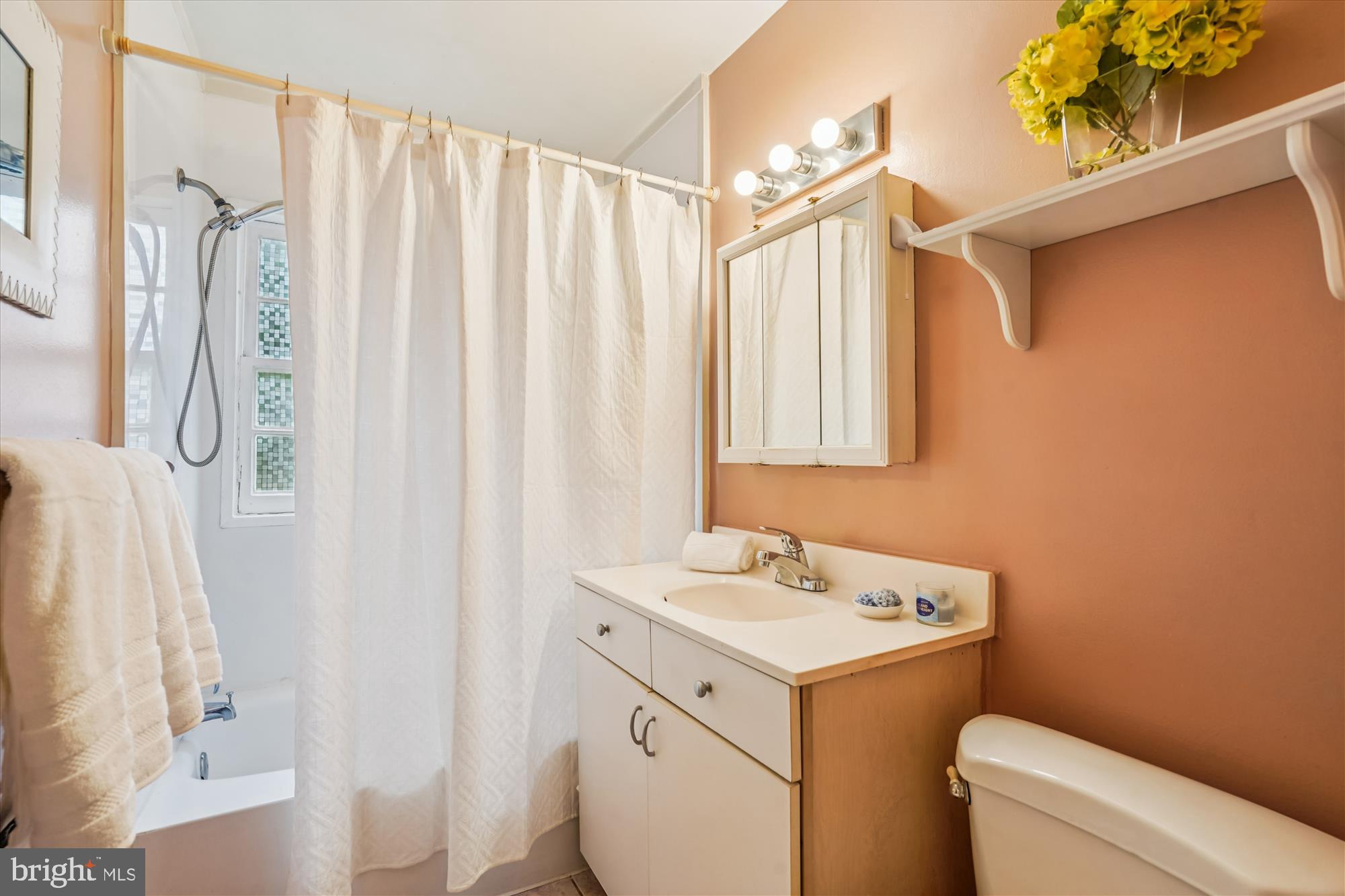 880 Azalea Drive, Unit 22880 Rockville, MD 20850 - Photo 14 of 39 a bathroom with a sink a toilet and shower curtain