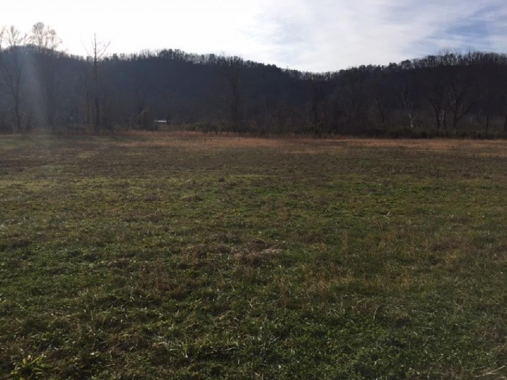 0 River Rapids Del Rio, TN 37727 - Photo 1 of 1 Photo 1