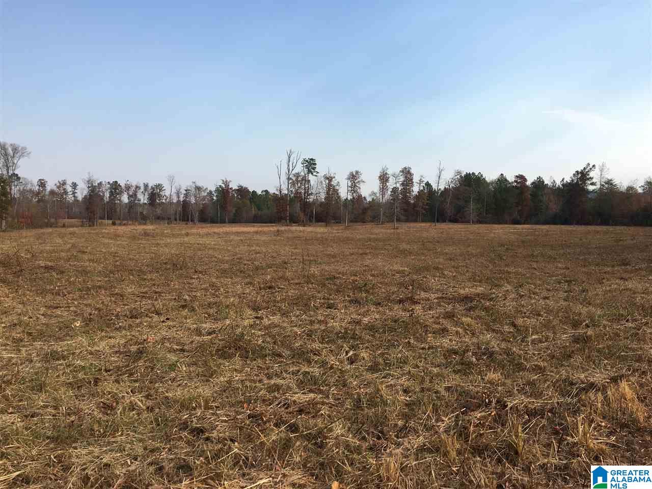 0 Wooden Trace Circle, Unit 30 Springville, AL 35146 - Photo 3 of 25