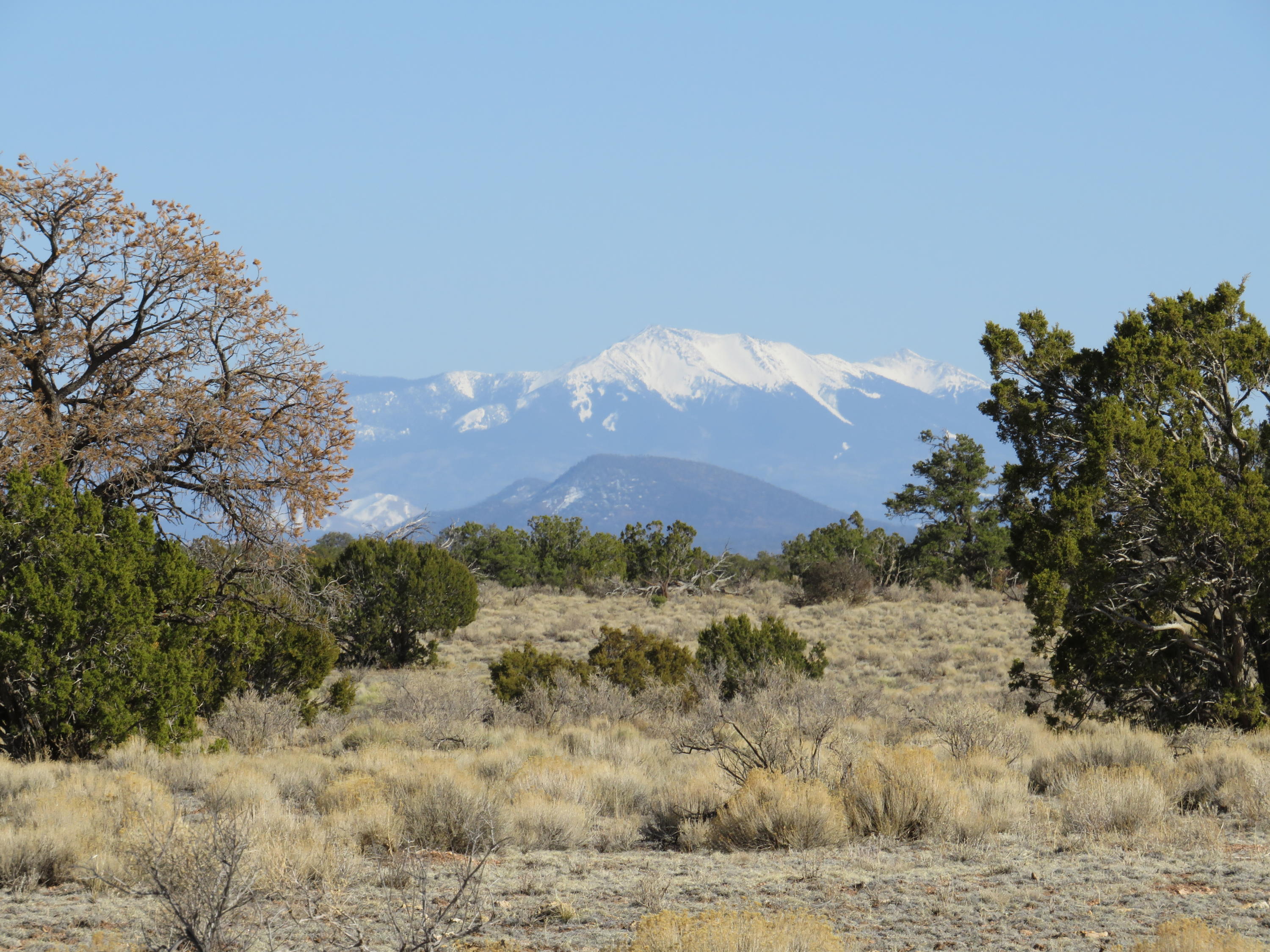 3413 North Peakview Road Williams, AZ 86046 - Photo 9 of 18 IMG_0316