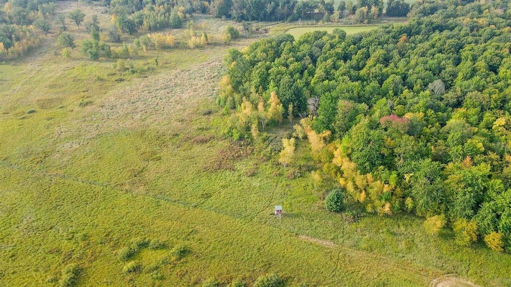40-acres County Road South Rudolph, WI 54475 - Photo 4 of 21 Gallery Image 4