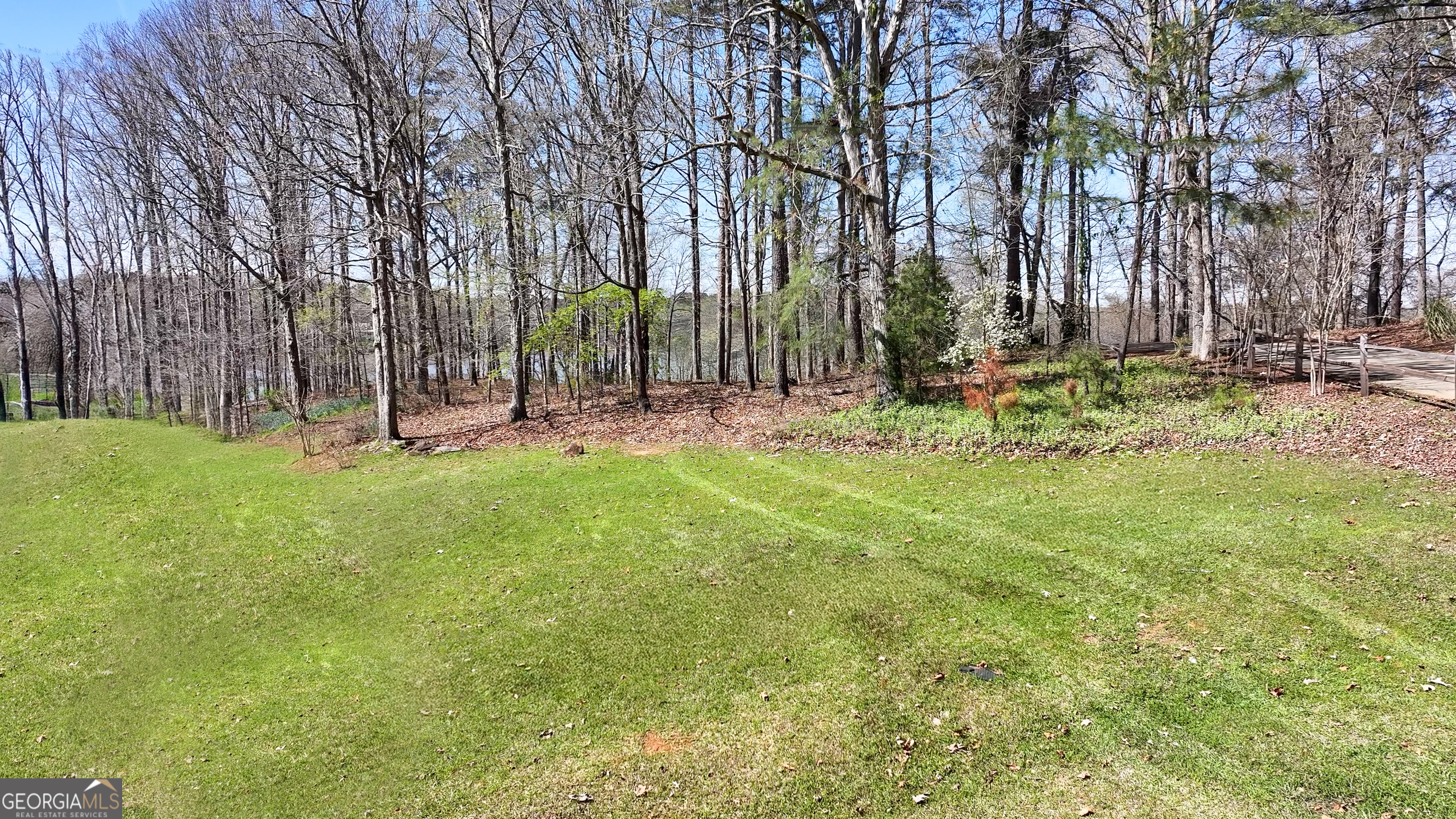 1921 Withrow Road Greensboro, GA 30642 - Photo 15 of 15 a view of outdoor space with trees